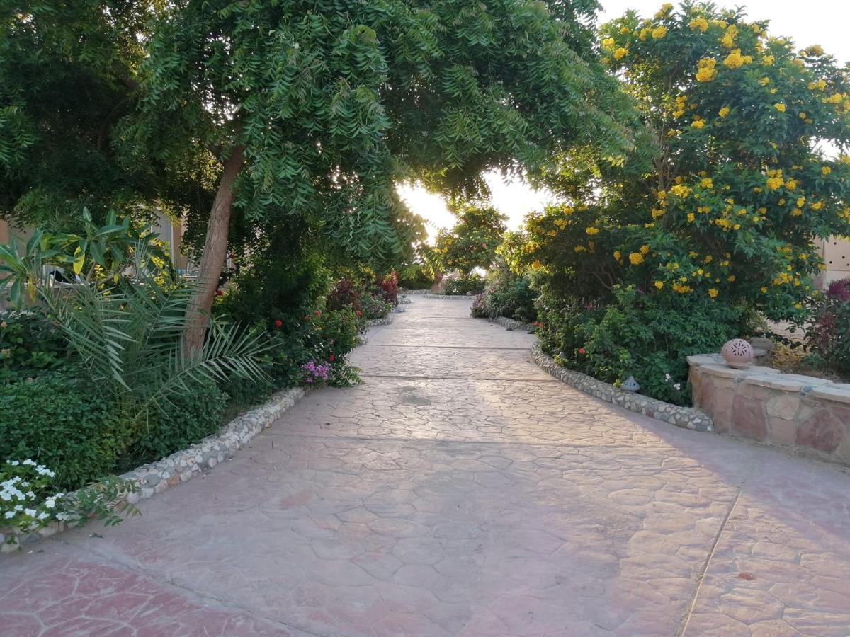 Silver Beach Boutique Hotel (Adults Only) El Qoseir Buitenkant foto
